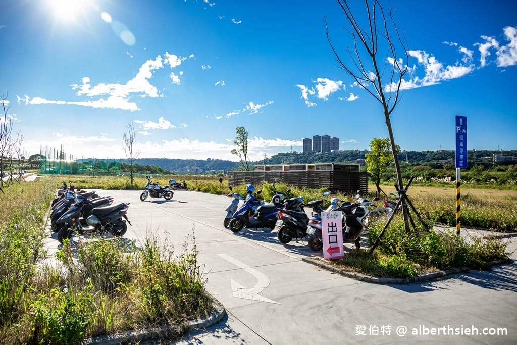 桃園大溪月眉人工濕地生態公園｜370棵落羽松倒映湖中絕美