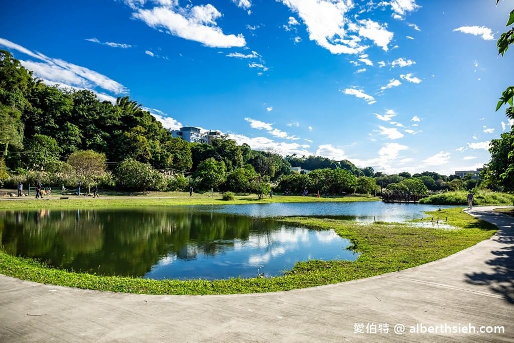 桃園大溪月眉人工濕地生態公園｜370棵落羽松倒映湖中絕美