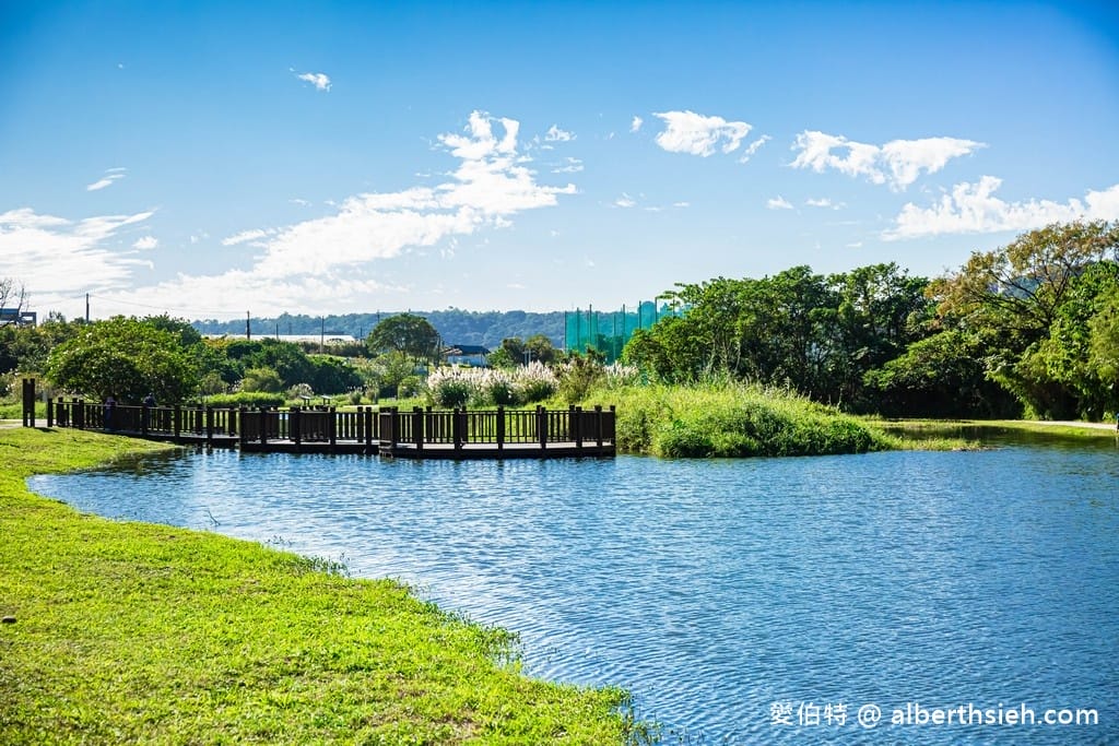 桃園大溪月眉人工濕地生態公園｜370棵落羽松倒映湖中絕美