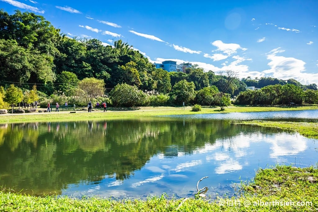 桃園大溪月眉人工濕地生態公園｜370棵落羽松倒映湖中絕美