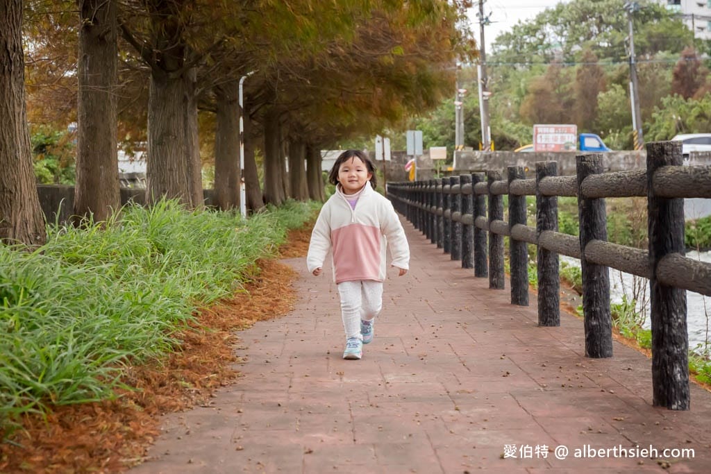 桃園落羽松推薦｜八德霄裡大池落羽松，埤塘環湖美景詩情畫意