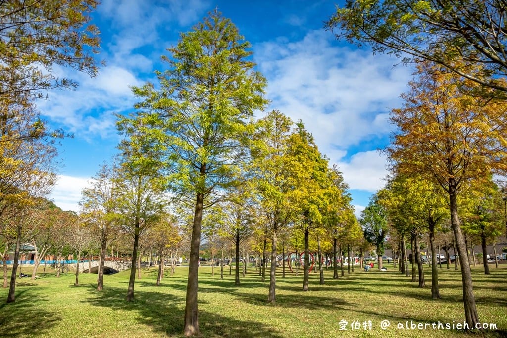桃園大溪河濱公園落羽松|大草坪悠閒野餐、共融遊具、愛心造景 - 第20張圖 桃園大溪河濱公園落羽松|大草坪悠閒野餐、共融遊具、愛心造景