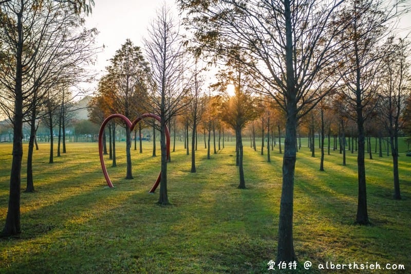 桃園大溪河濱公園落羽松|大草坪悠閒野餐、共融遊具、愛心造景 - 第28張圖 桃園大溪河濱公園落羽松|大草坪悠閒野餐、共融遊具、愛心造景