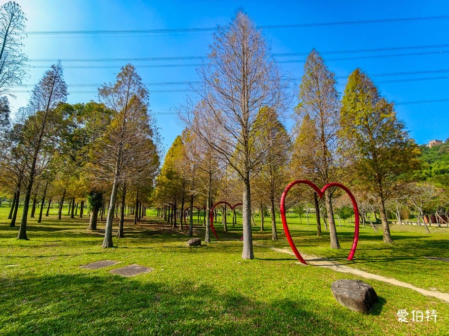 桃園大溪河濱公園落羽松|大草坪悠閒野餐、共融遊具、愛心造景 - 第4張圖 桃園大溪河濱公園落羽松|大草坪悠閒野餐、共融遊具、愛心造景