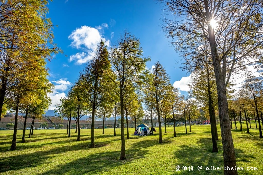桃園大溪河濱公園落羽松|大草坪悠閒野餐、共融遊具、愛心造景 - 第21張圖 桃園大溪河濱公園落羽松|大草坪悠閒野餐、共融遊具、愛心造景