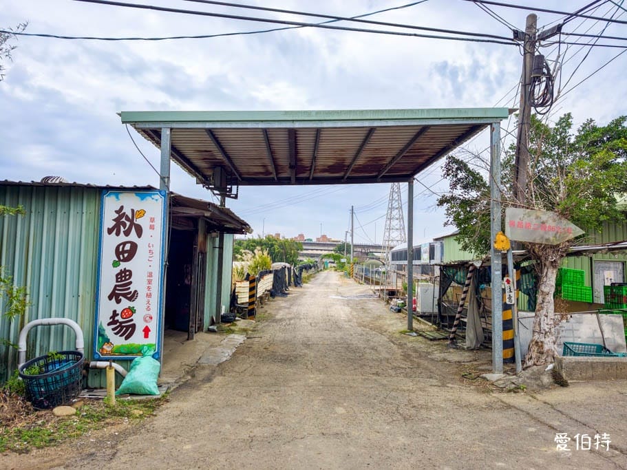 桃園大溪採草莓推薦｜秋田農場，溫室高架種植，日系紅顏、白草莓