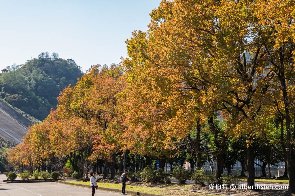 2026石門水庫楓葉紅了嗎？楓林步道壩頂，周邊景點一日遊