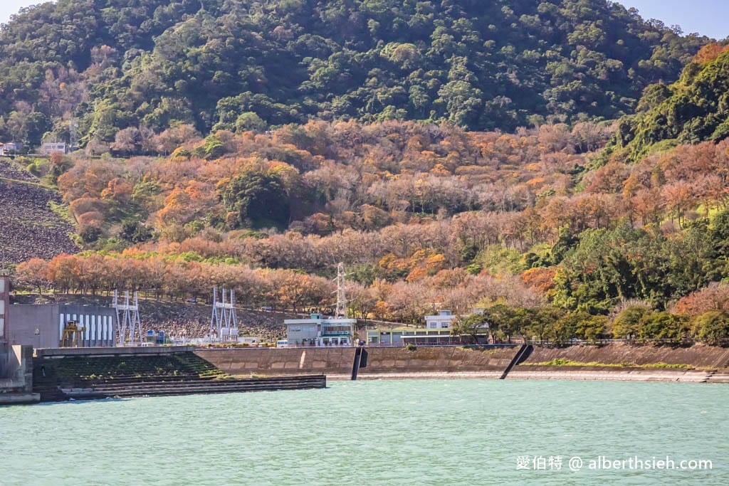 2026石門水庫楓葉紅了嗎？楓林步道壩頂，周邊景點一日遊