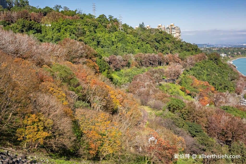 2026石門水庫楓葉紅了嗎？楓林步道壩頂，周邊景點一日遊