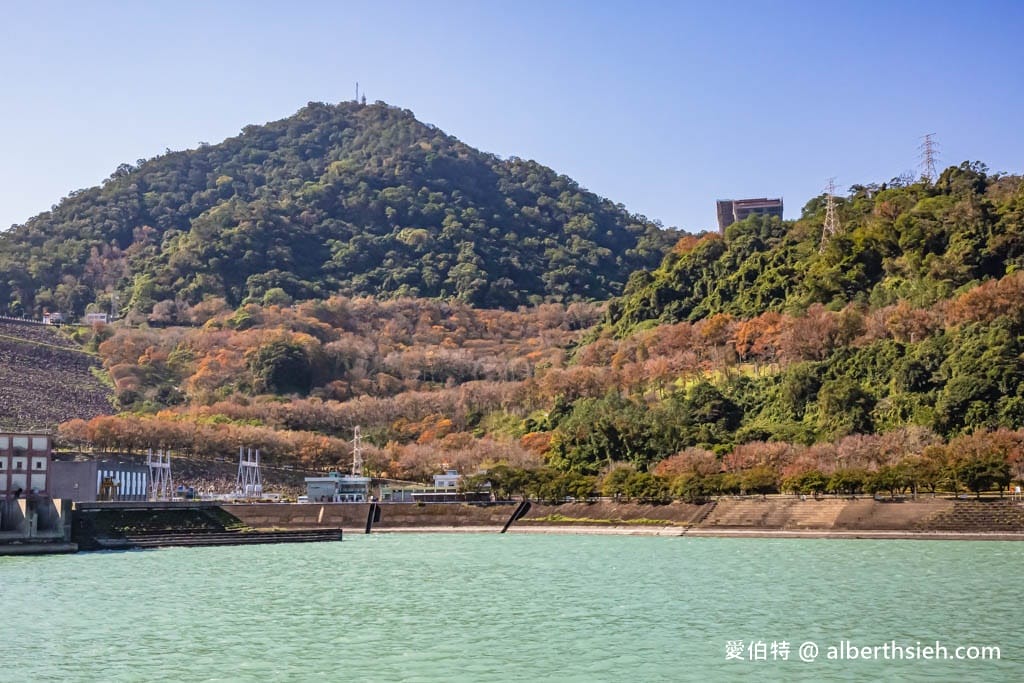 2026石門水庫楓葉紅了嗎？楓林步道壩頂，周邊景點一日遊