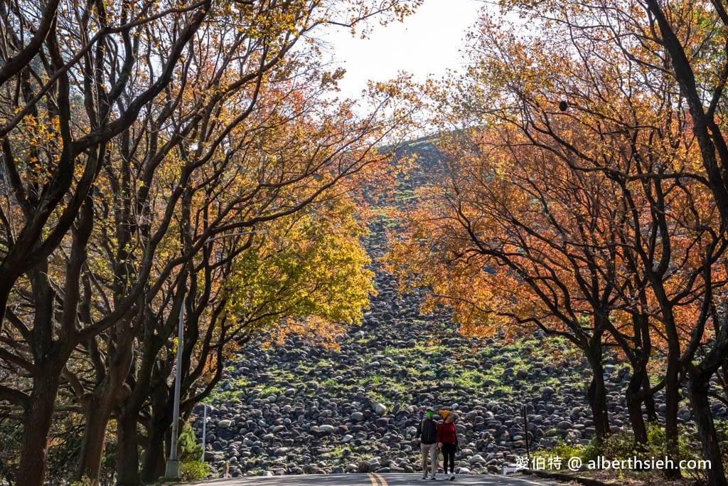 2026石門水庫楓葉紅了嗎？楓林步道壩頂，周邊景點一日遊