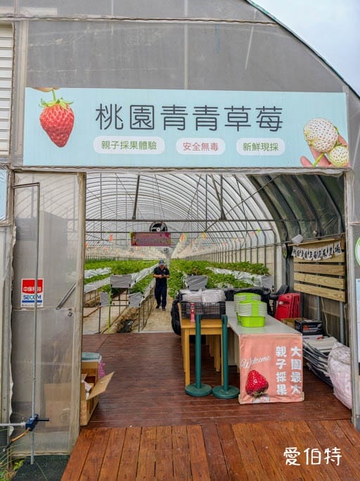 桃園大園親子採草莓推薦｜青青草莓蔬果農場，溫室無毒餵動物一日遊