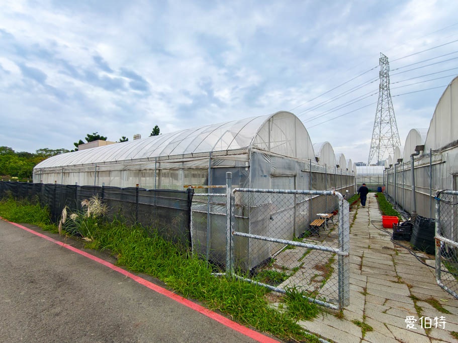 桃園蘆竹採草莓推薦|八角店高架草莓,溫室無毒紅顏草莓超甜 @愛伯特