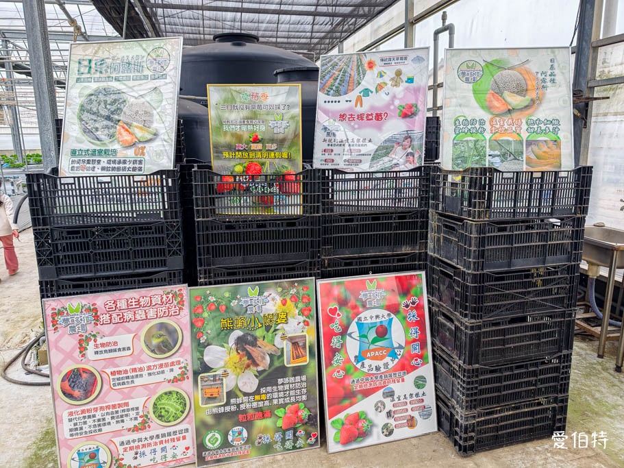 桃園採草莓去哪？觀音夢哆啦農場X林家古厝，紅顏DIY半日遊 @愛伯特