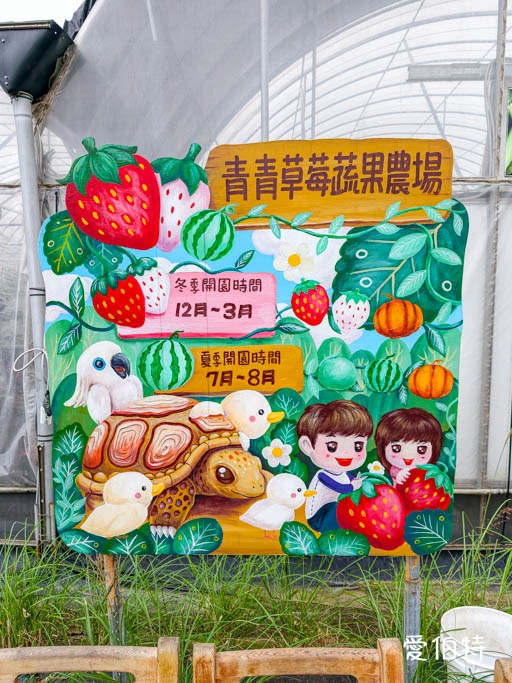 桃園大園親子採草莓推薦｜青青草莓蔬果農場，溫室無毒餵動物一日遊 @愛伯特