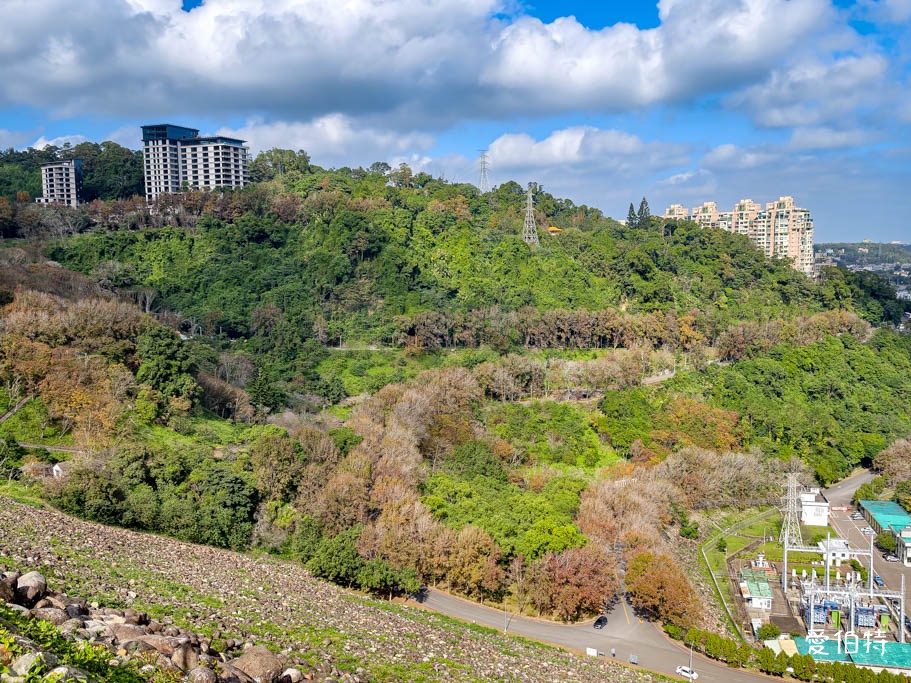 桃園大溪採草莓一日遊｜落羽松賞楓、必吃美食懶人包 @愛伯特