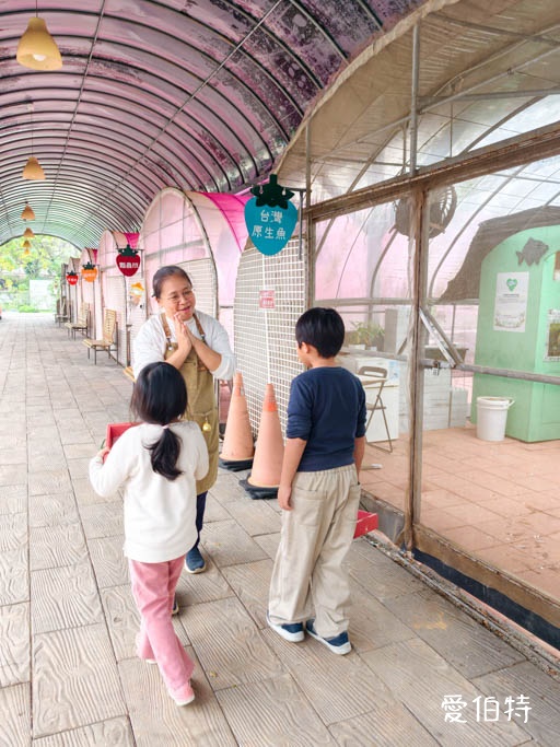 中壢青埔採草莓首選|草莓學校溫室無毒栽植,親子DIY半日遊 @愛伯特