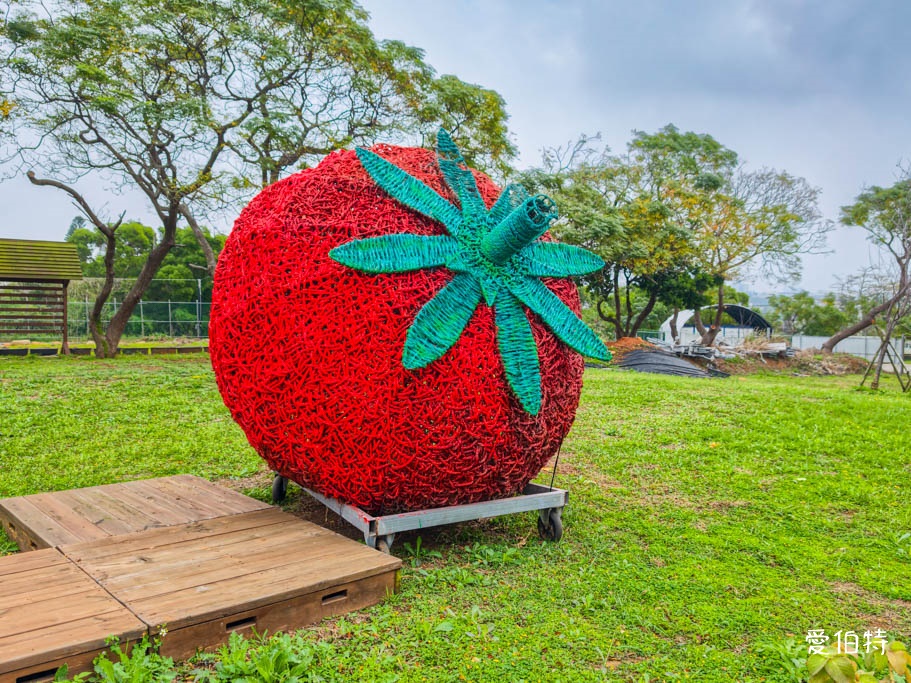 中壢青埔採草莓首選|草莓學校溫室無毒栽植,親子DIY半日遊 @愛伯特