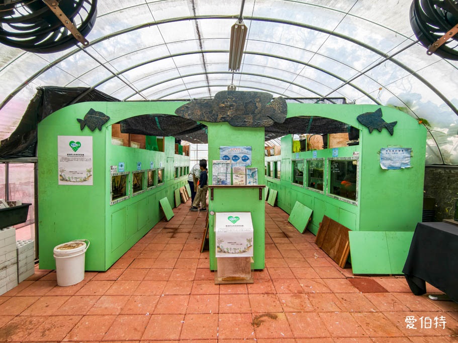 中壢青埔採草莓首選｜草莓學校溫室無毒栽植，親子DIY半日遊 @愛伯特