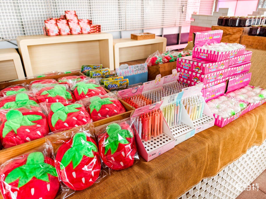 中壢青埔採草莓首選|草莓學校溫室無毒栽植,親子DIY半日遊 @愛伯特