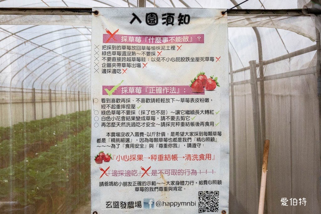 桃園中壢草莓園推薦｜玄盛發農場，採草莓/摘玉女小番茄雙重享受