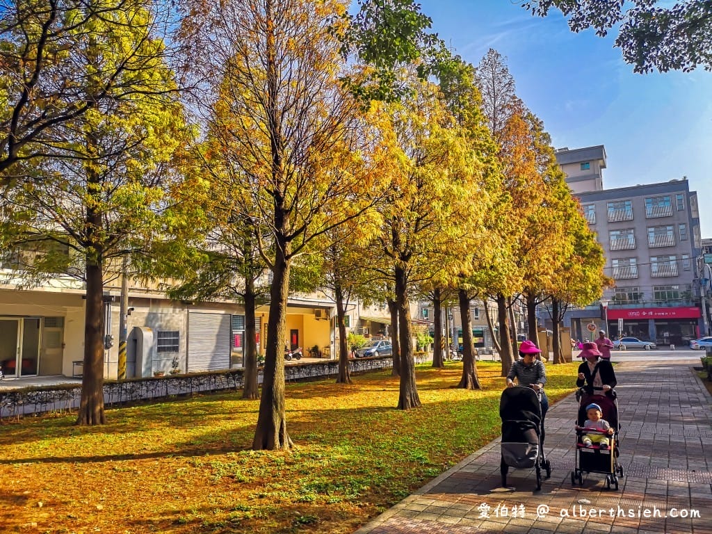 桃園落羽松推薦｜玉山公園落羽松，市區公園內親子安全好拍免門票