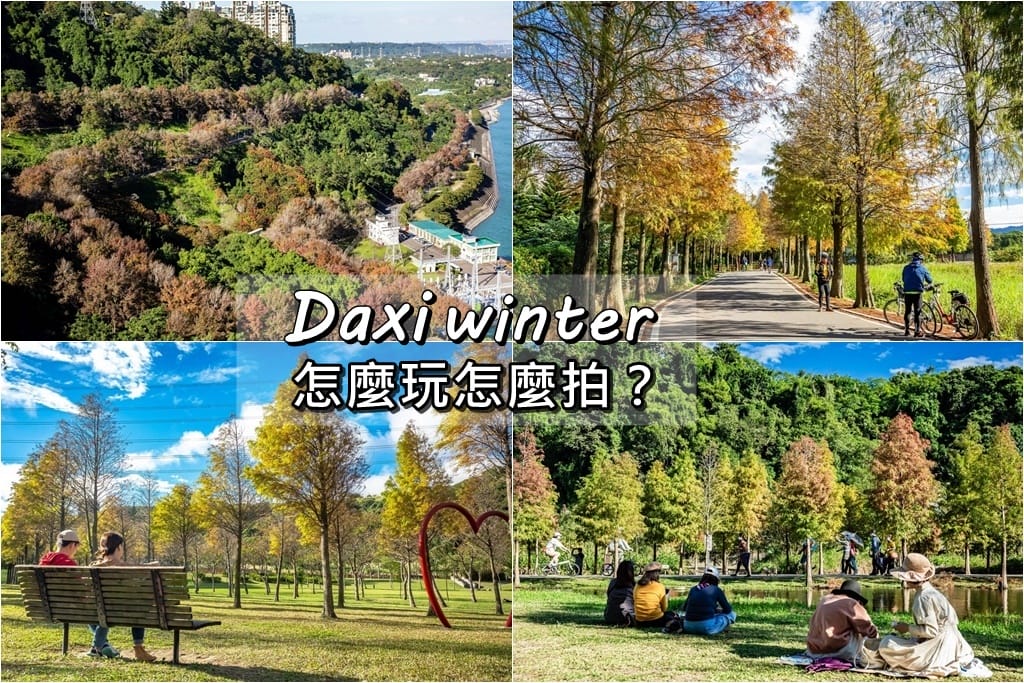 2026桃園落羽松哪裡有？十大秘境景點