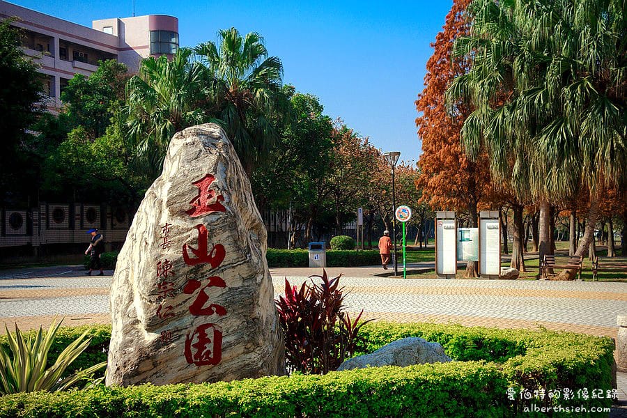 桃園落羽松推薦｜玉山公園落羽松，市區公園內親子安全好拍免門票
