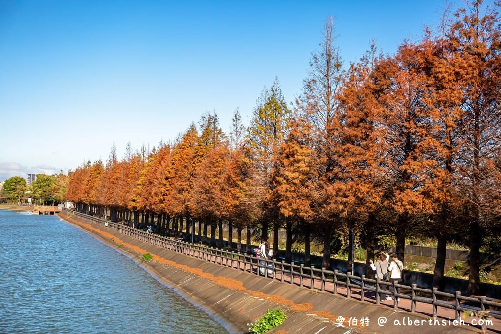 2026桃園落羽松哪裡有？十大秘境景點