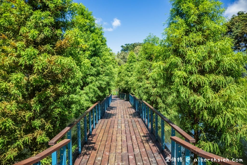 長庚養生文化村-落羽松公園|桃園龜山漫步於湖畔落羽松隧道 - 第20張圖 長庚養生文化村-落羽松公園|桃園龜山漫步於湖畔落羽松隧道