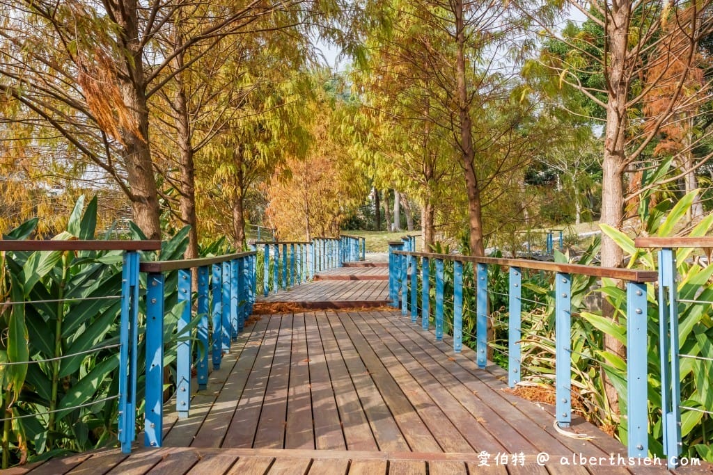 長庚養生文化村-落羽松公園|桃園龜山漫步於湖畔落羽松隧道 - 第17張圖 長庚養生文化村-落羽松公園|桃園龜山漫步於湖畔落羽松隧道
