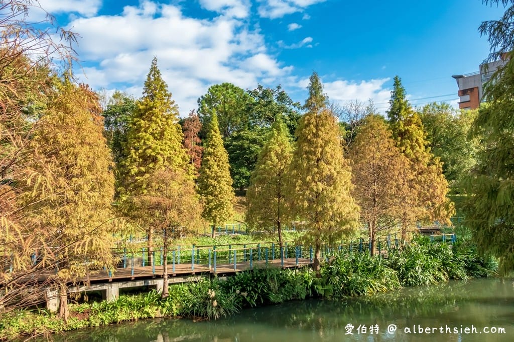 長庚養生文化村-落羽松公園|桃園龜山漫步於湖畔落羽松隧道 - 第15張圖 長庚養生文化村-落羽松公園|桃園龜山漫步於湖畔落羽松隧道