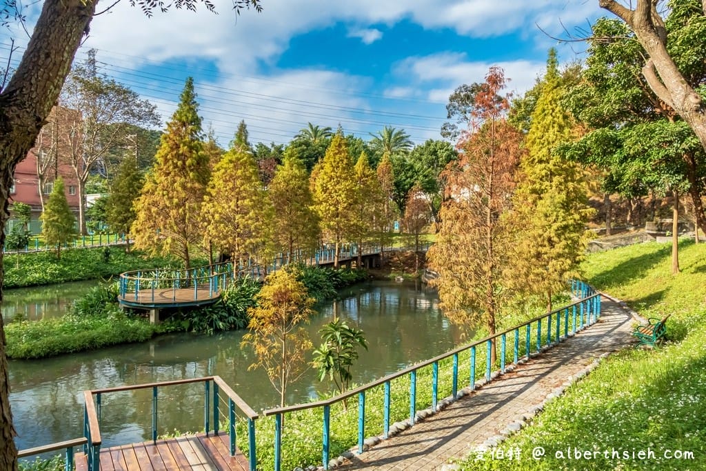 長庚養生文化村-落羽松公園|桃園龜山漫步於湖畔落羽松隧道 - 第14張圖 長庚養生文化村-落羽松公園|桃園龜山漫步於湖畔落羽松隧道