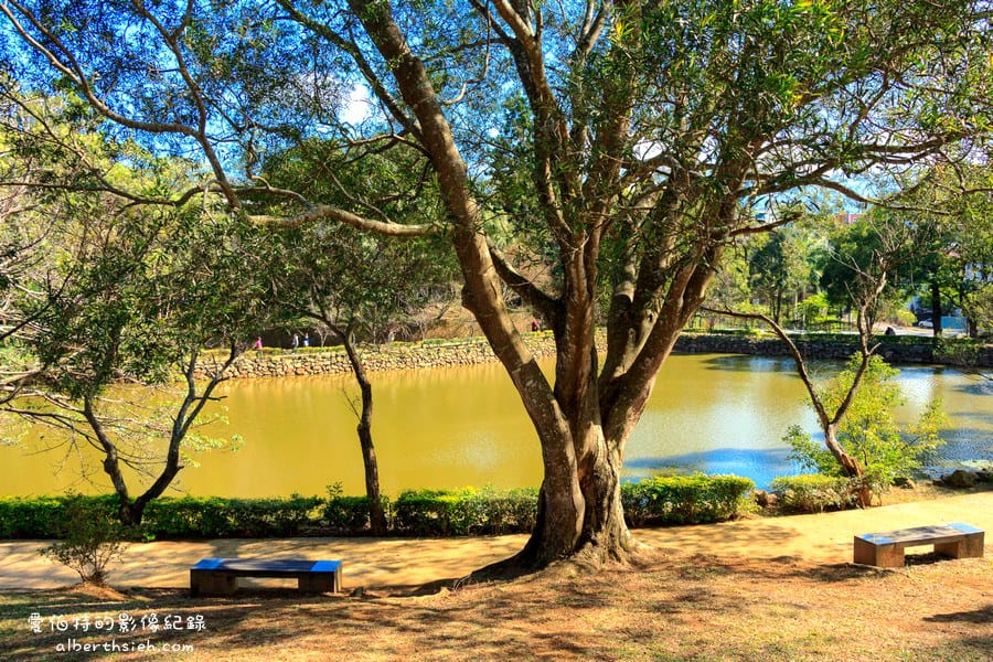 角板山行館梅花季｜桃園復興景點，梅園花況即時影像，撲鼻聞著梅花香