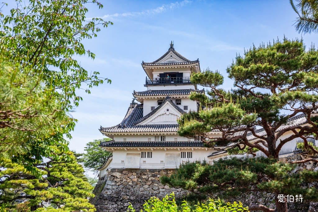 高知必去景點｜高知城，日本100名城，唯一保留整個本丸建築群的古城