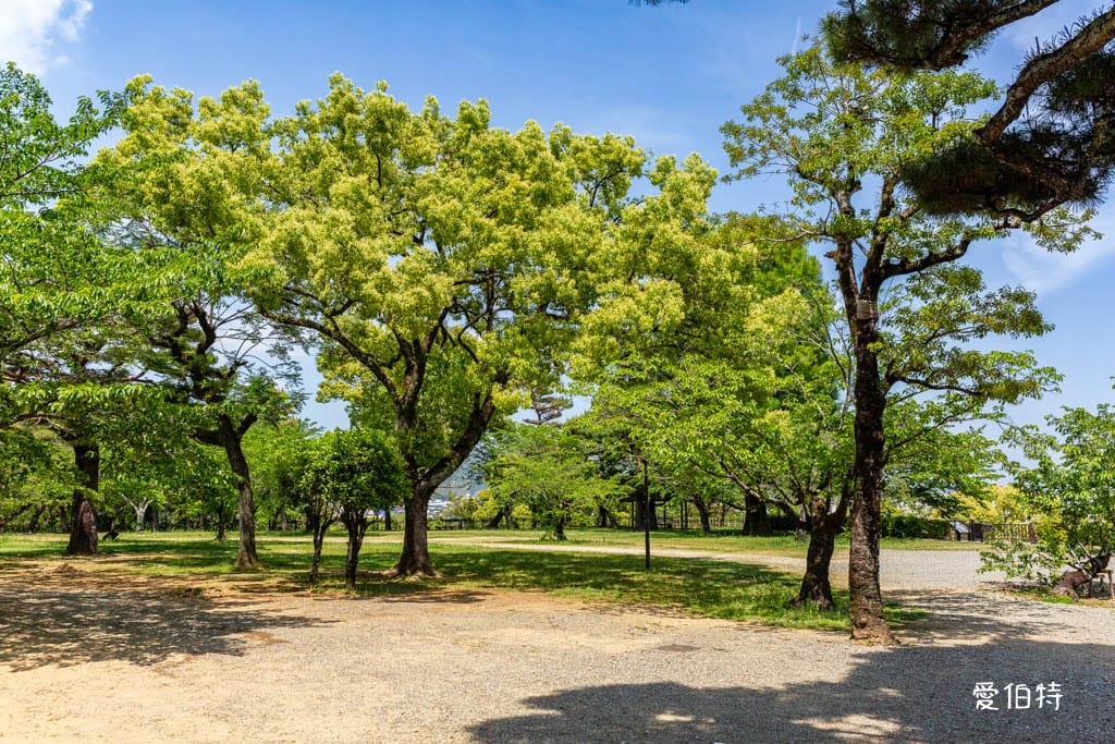 高知必去景點｜高知城，日本100名城，唯一保留整個本丸建築群的古城