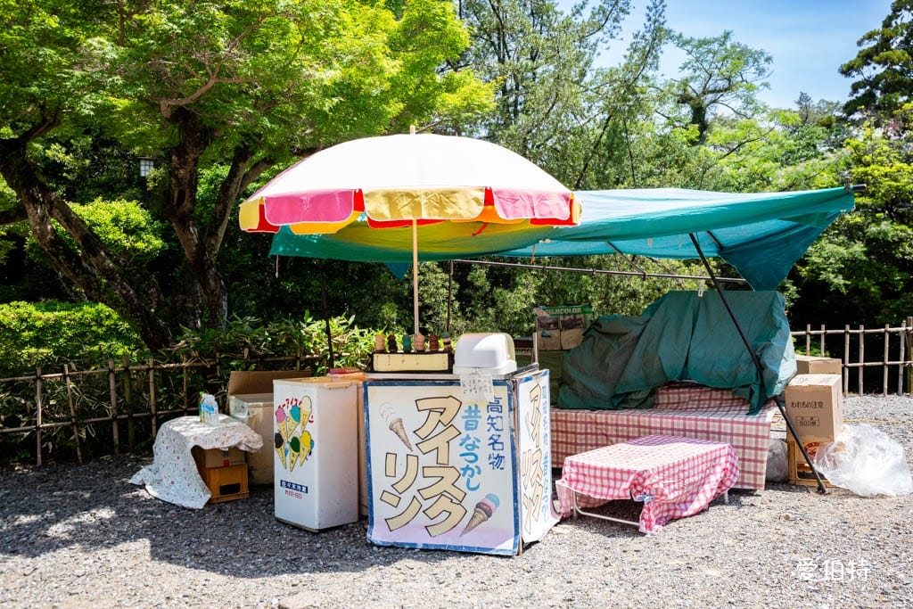 高知必去景點｜高知城，日本100名城，唯一保留整個本丸建築群的古城