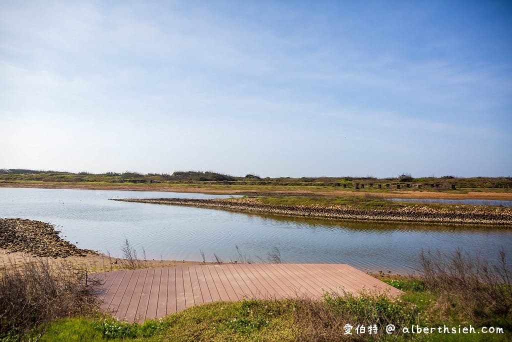 桃園許厝港濕地｜絕美夕陽景點，北台灣最大的海岸濕地，候鳥過冬棲息地