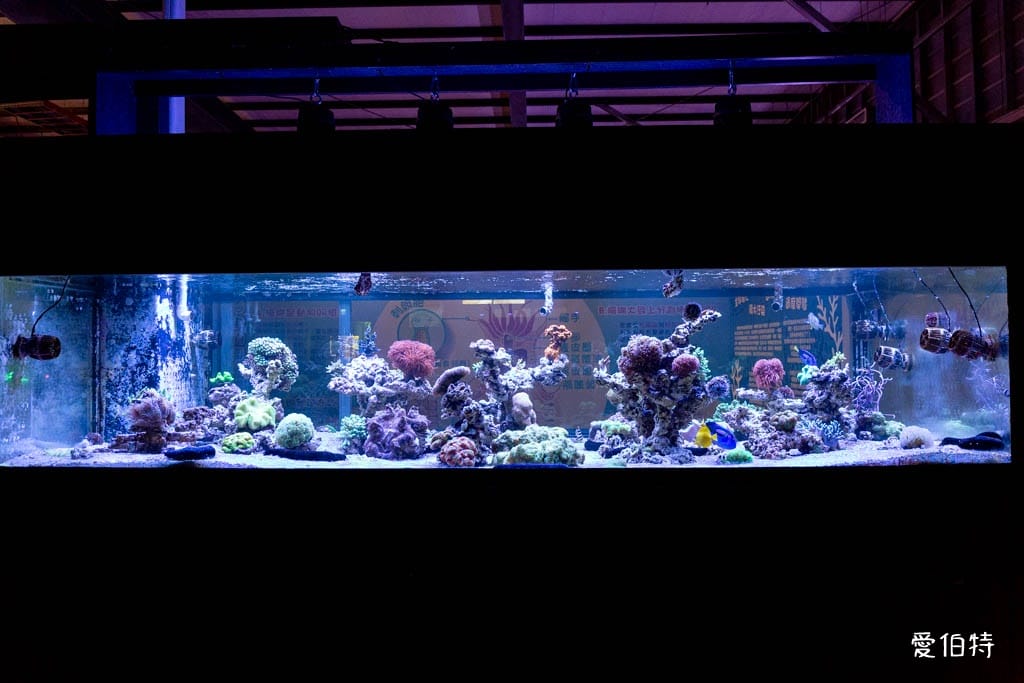 宜蘭礁溪室內景點｜金車生技水產養殖研發中心，餵鯊魚親子水族館