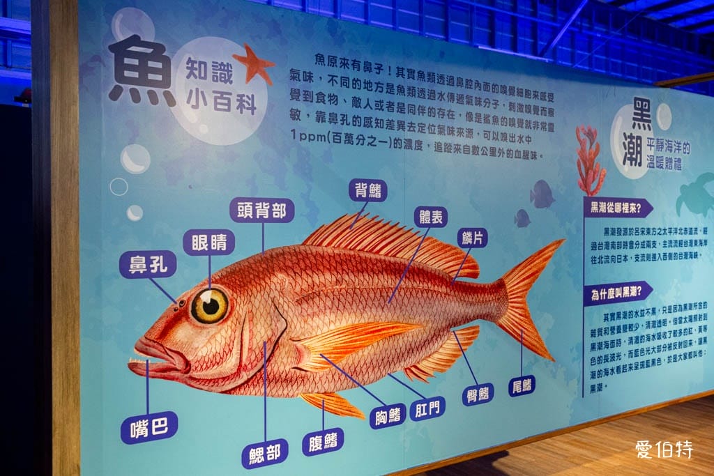 宜蘭礁溪室內景點｜金車生技水產養殖研發中心，餵鯊魚親子水族館