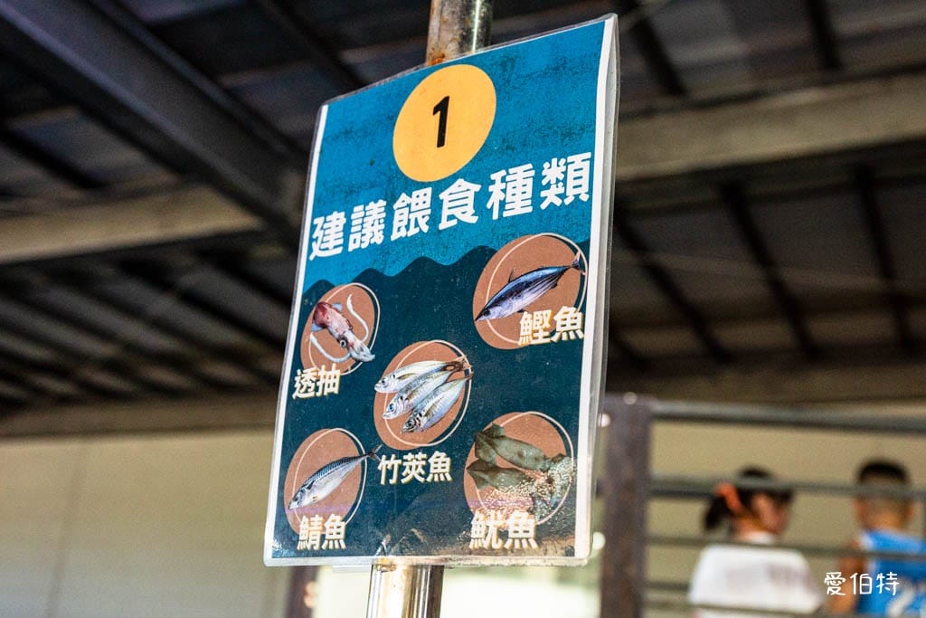 宜蘭礁溪室內景點｜金車生技水產養殖研發中心，餵鯊魚親子水族館
