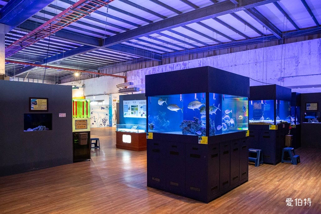宜蘭礁溪室內景點｜金車生技水產養殖研發中心，餵鯊魚親子水族館