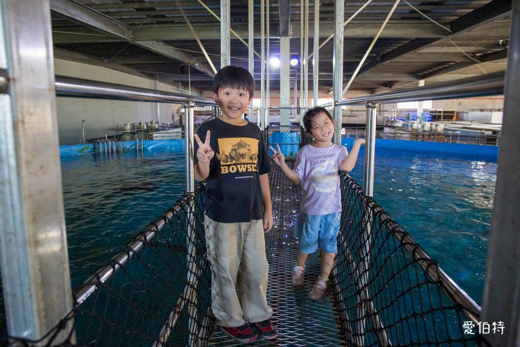 宜蘭礁溪室內景點｜金車生技水產養殖研發中心，餵鯊魚親子水族館
