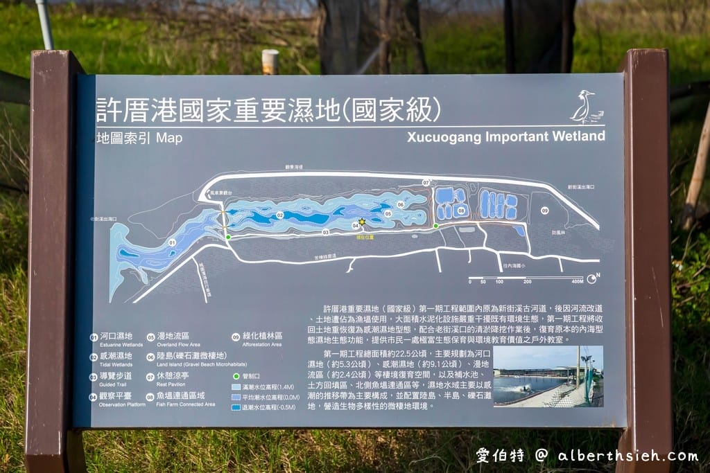 桃園許厝港濕地｜絕美夕陽景點，北台灣最大的海岸濕地，候鳥過冬棲息地