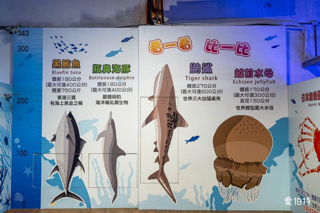 宜蘭礁溪室內景點｜金車生技水產養殖研發中心，餵鯊魚親子水族館