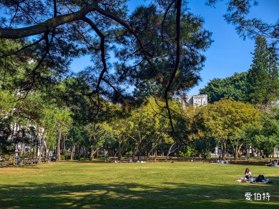 中壢中央大學中大湖櫻花｜來自日本的粉紅河津櫻超好拍