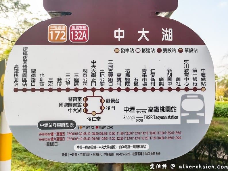 中壢中央大學中大湖櫻花｜來自日本的粉紅河津櫻超好拍