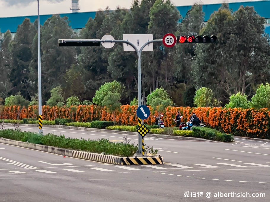 2026台中后里后科炮仗花步道｜數百公尺橘色花牆，順遊泰安櫻花