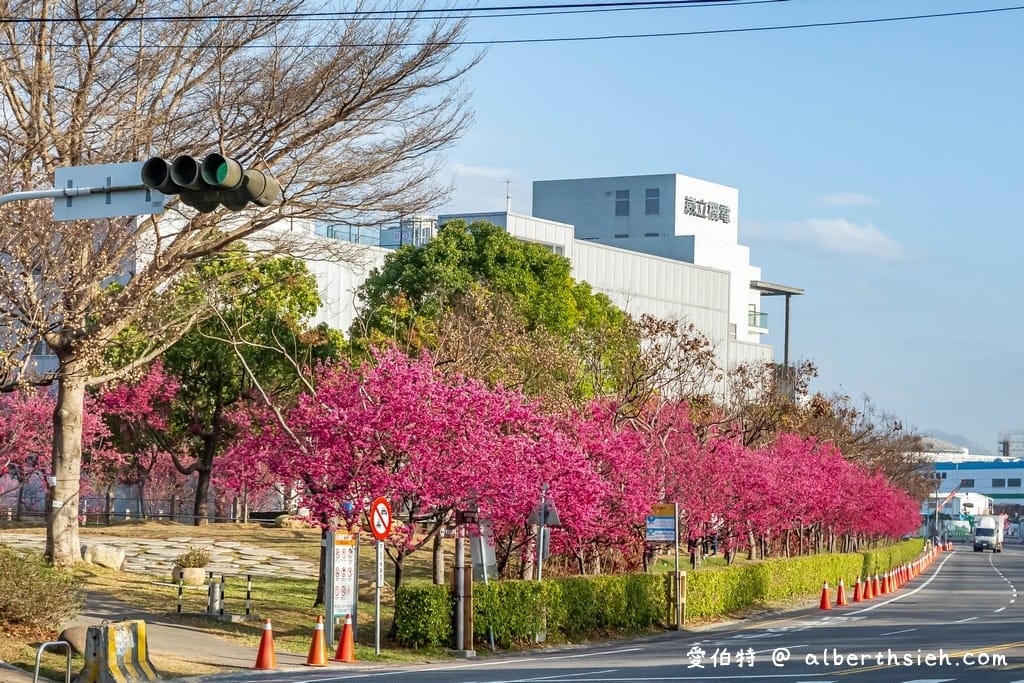 2026台中后里賞櫻景點|中科崴立櫻花公園,千坪數百棵免費任你拍 - 第37張圖 2026台中后里賞櫻景點|中科崴立櫻花公園,千坪數百棵免費任你拍