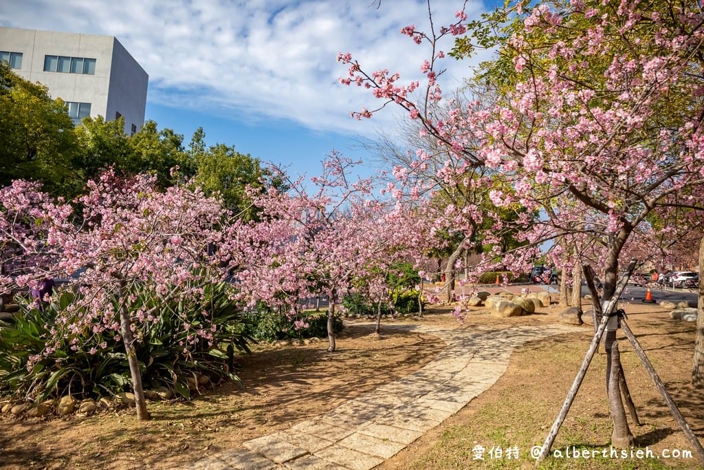 2026台中后里賞櫻景點|中科崴立櫻花公園,千坪數百棵免費任你拍 - 第40張圖 2026台中后里賞櫻景點|中科崴立櫻花公園,千坪數百棵免費任你拍